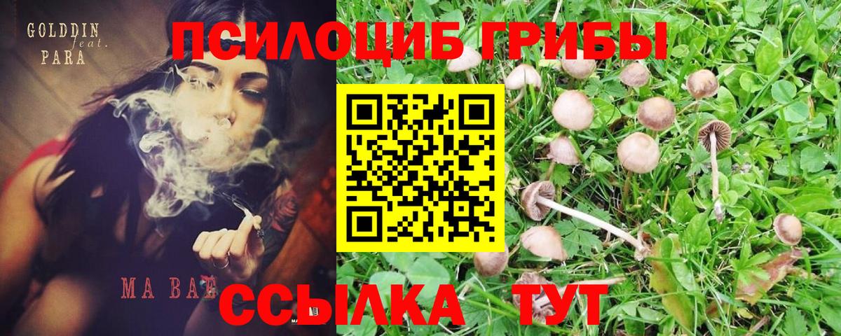 Галлюциногенные грибы GOLDEN TEACHER Энгельс