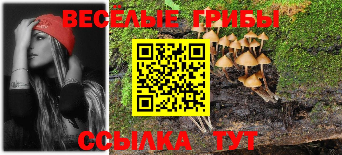 Энгельс  Псилоцибиновые грибы GOLDEN TEACHER  Вход с VPN 